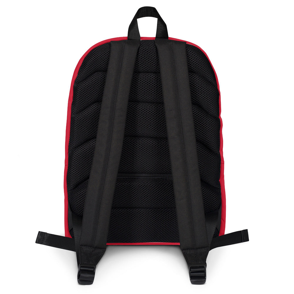 herschel backpack dirty Pop Quiz Backpack-Fallen Leaves Camo REAL Watersports back California vibes that work with school fits Herschel Luggage Review - Backpack,